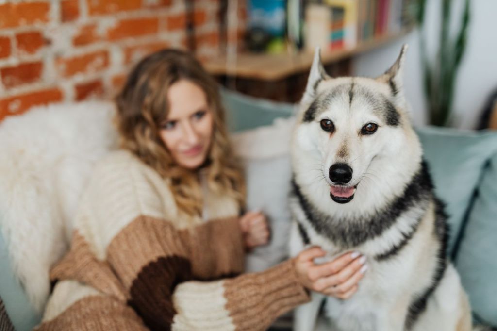 pexels-karola-g-5426878.jpg